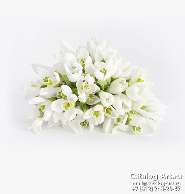 White flowers 24
